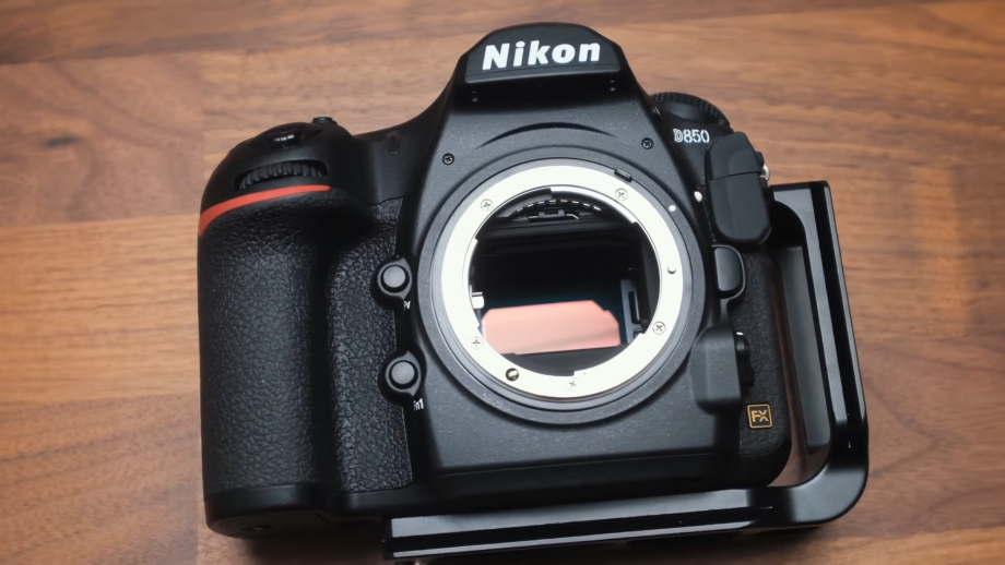 Nikon D850 Impressions